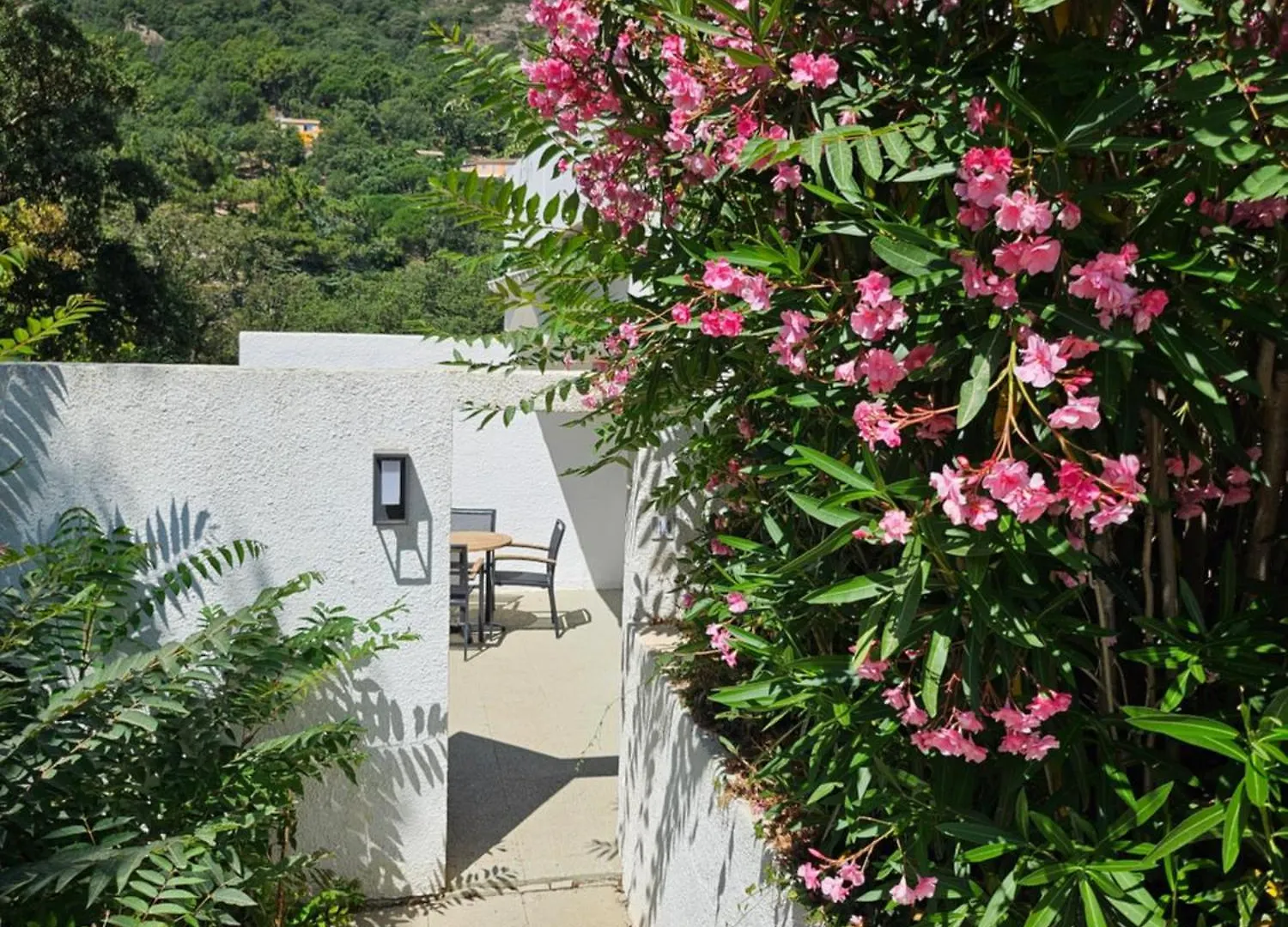 Capsud, La Garde-Freinet Apartment